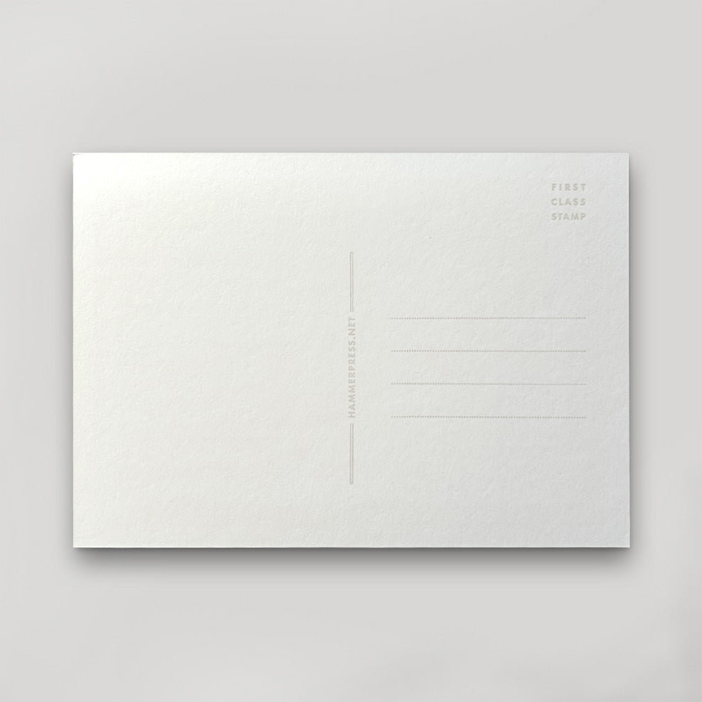 KC BABY Postcard