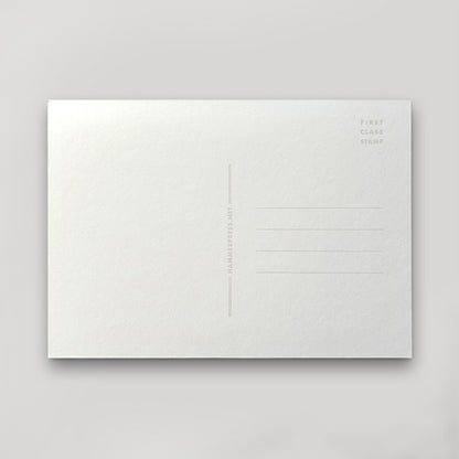 KC BABY Postcard